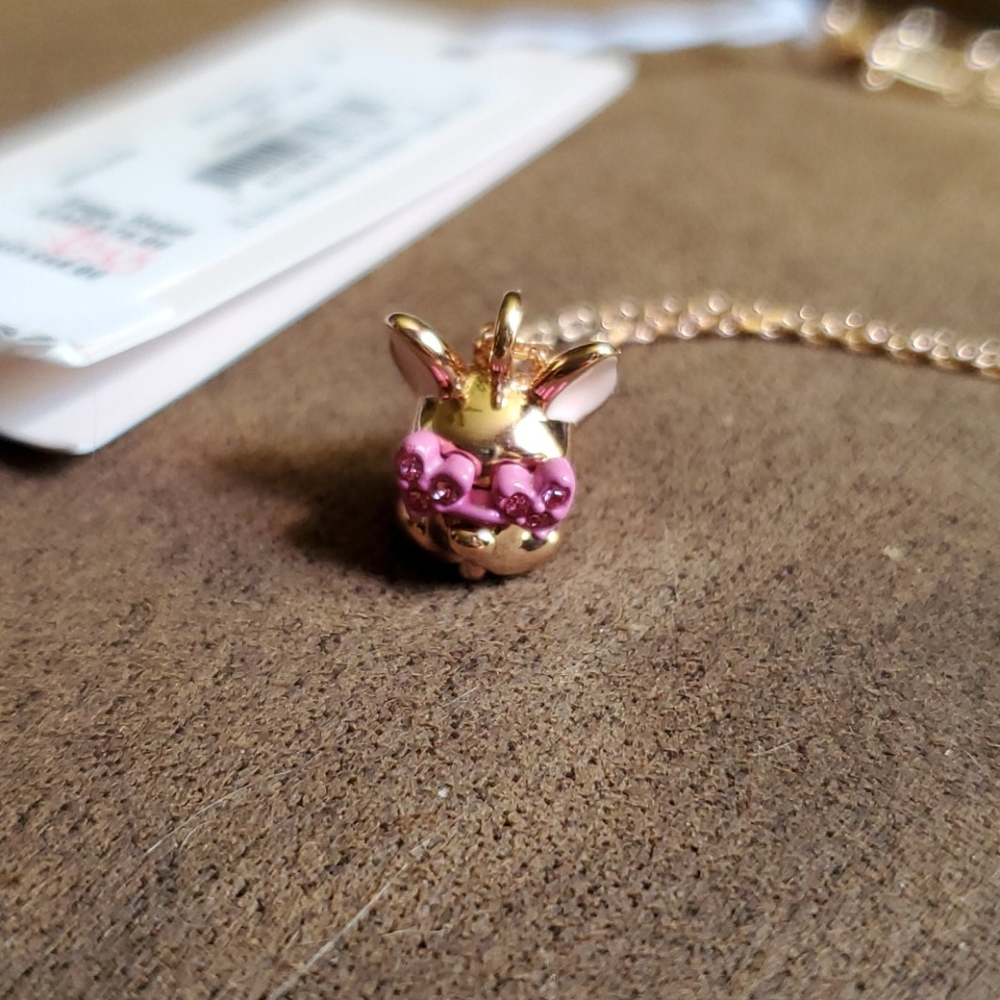 Kate spade dog necklace